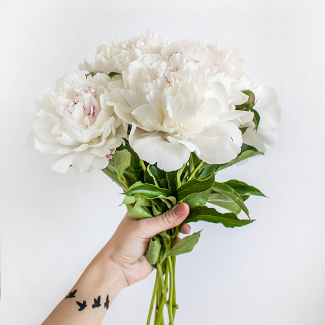 京都二次會(huì)撮影カメラマン